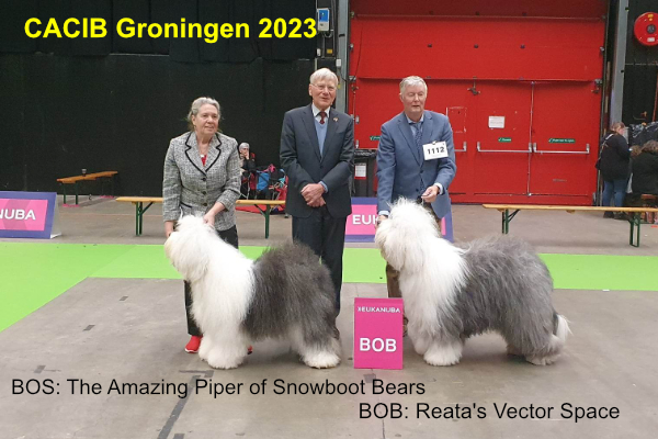 CACIB Groningen 2023