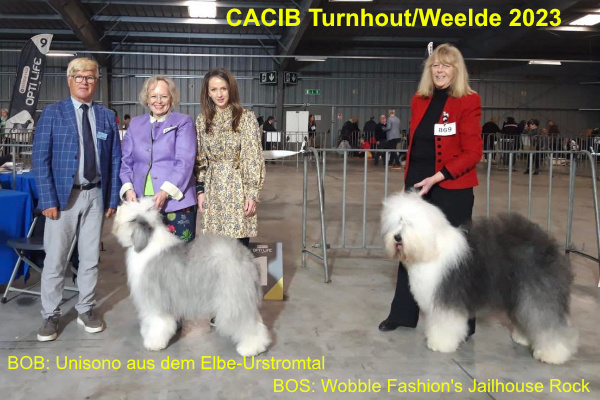 CACIB Turnhout/Weelde 2023