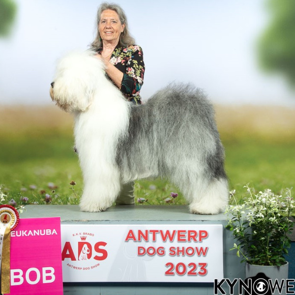 ANTWERP DOG SHOW 2023