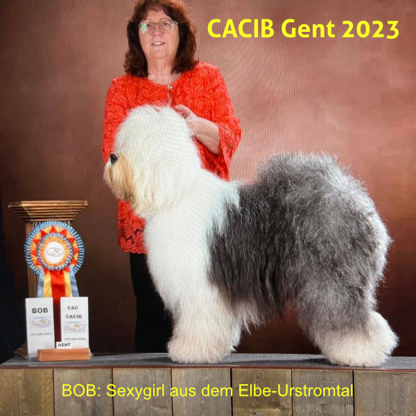 CACIB Gent 2023