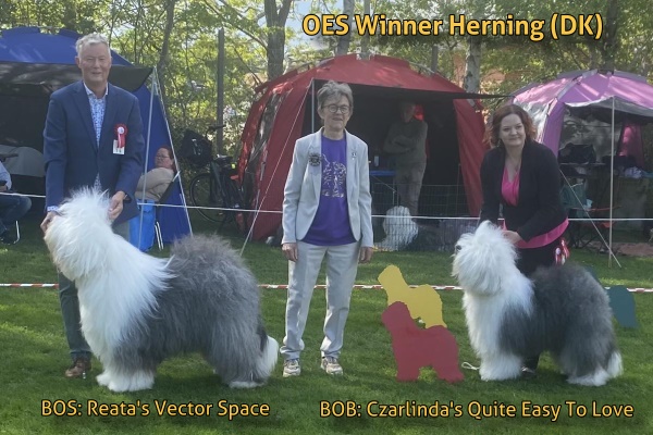 OES Winner Herning (DK)