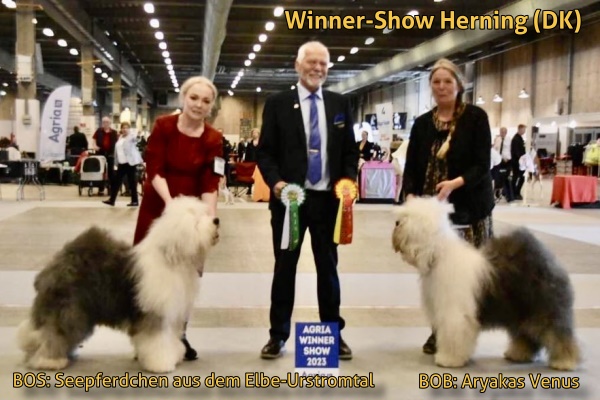 Winner-Show Herning (DK) 