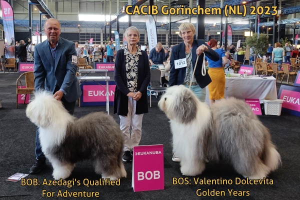 CACIB Gorinchem (NL) 2023