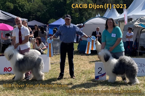 CACIB Dijon (F) 2023