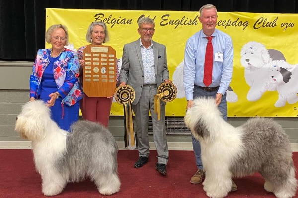 Belgian Old English Sheepdog Club 2023