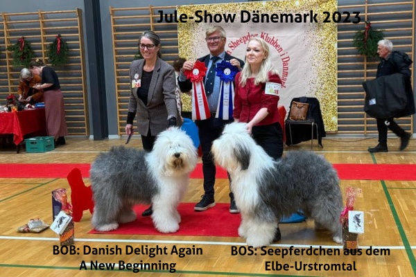 Jule-Show Dänemark 2023