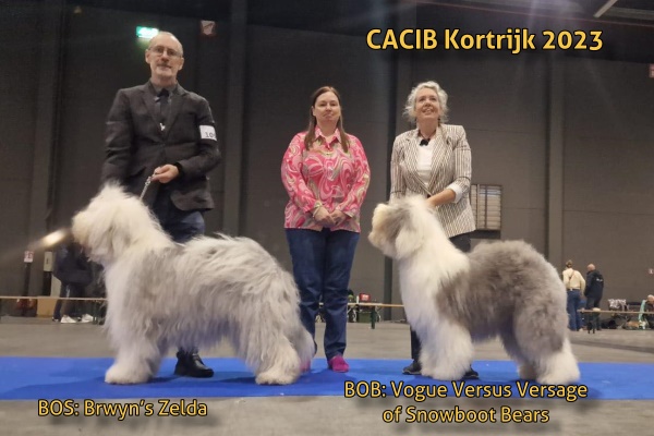 CACIB Kortrijk 2023