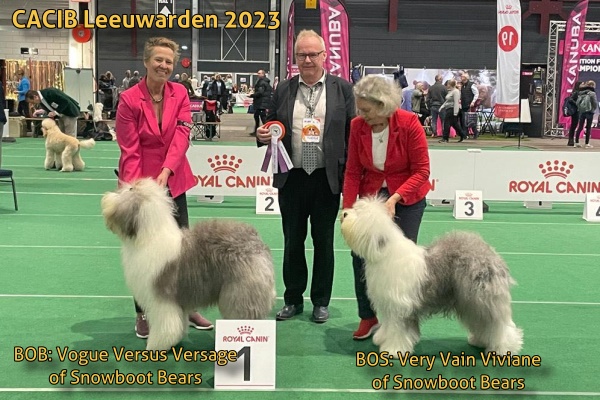 CACIB Leeuwarden 2023