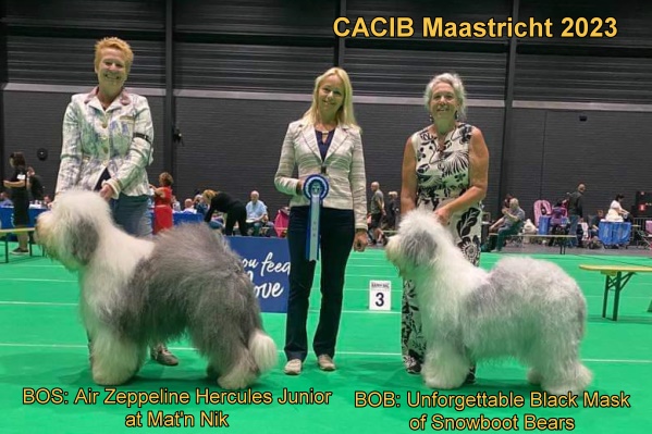 CACIB Maastricht 2023