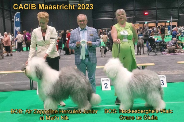 CACIB Maastricht 2023