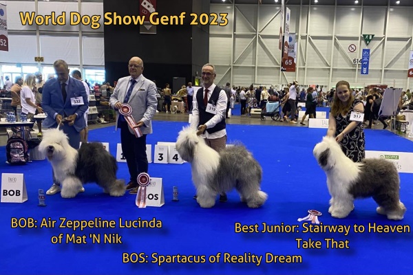 World Dog Show Genf 2023