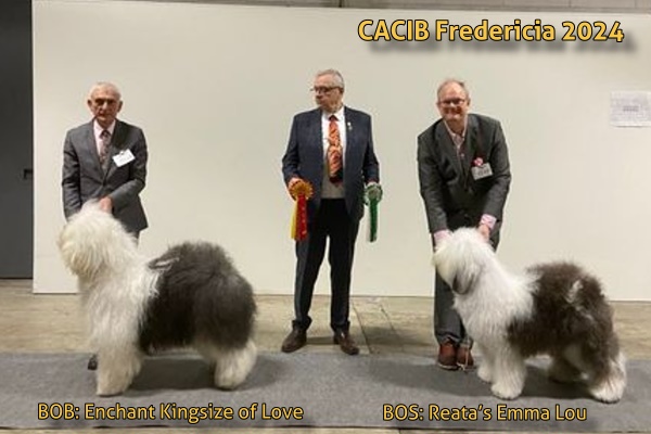 CACIB Fredericia 2024