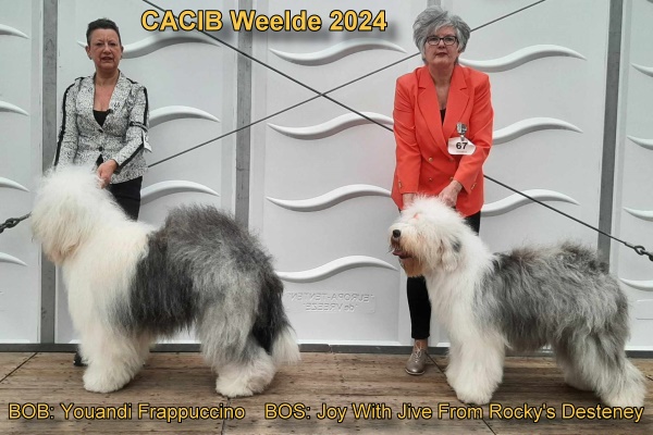 CACIB Weelde 2024