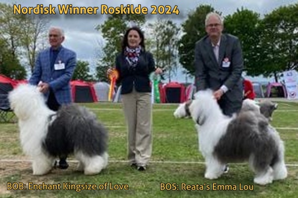 Nordisk Winner Roskilde 2024