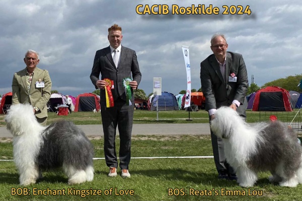 CACIB Roskilde 2024