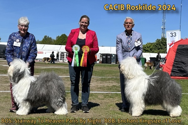 CACIB Roskilde 2024