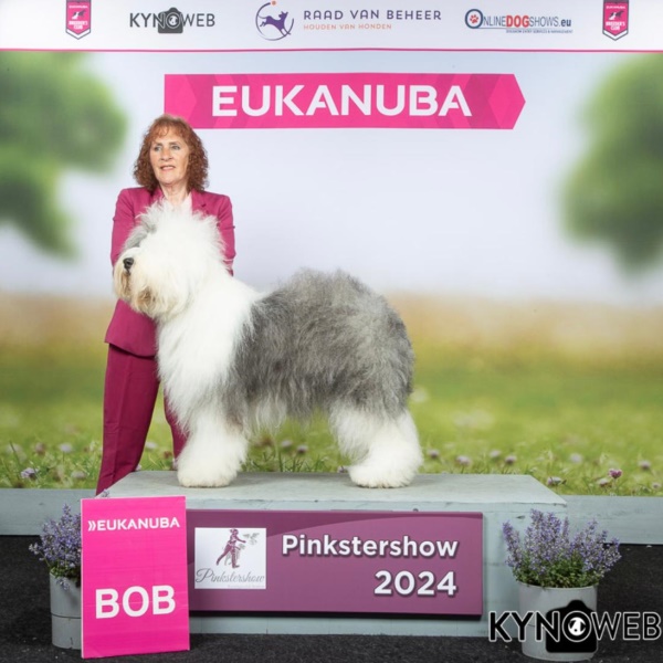 Pinkstershow 2024