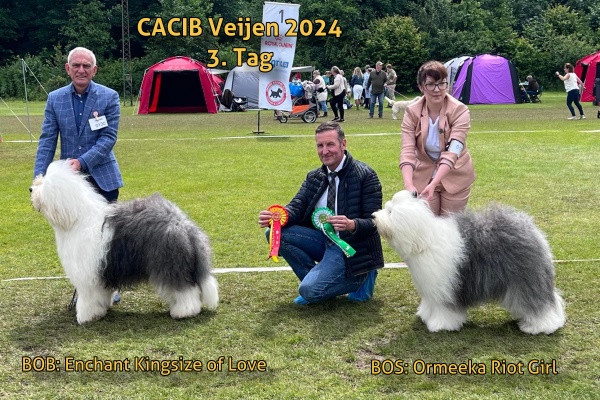 CACIB Veijen 2024 3.Tag