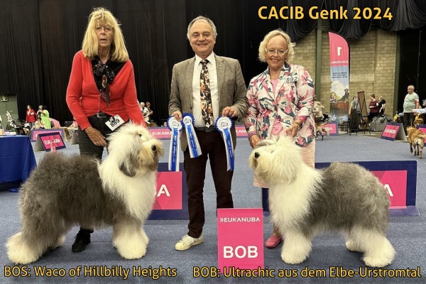 CACIB Genk 2024