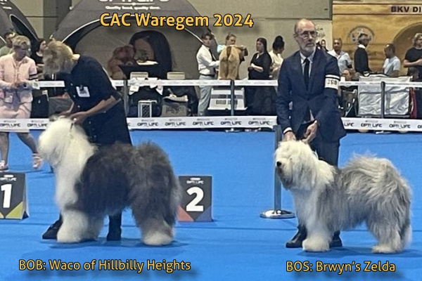 CAC Waregem 2024