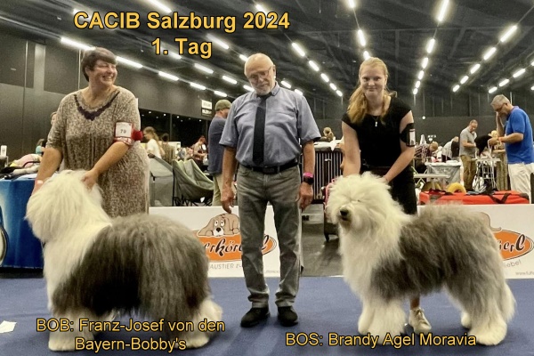 CACIB Salzburg 2024 1.Tag