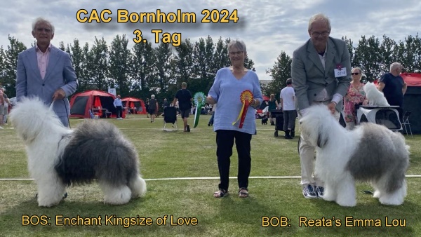 CAC Bornholm 2024 3.Tag