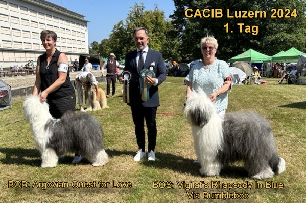 CACIB Luzern 2024 1.Tag