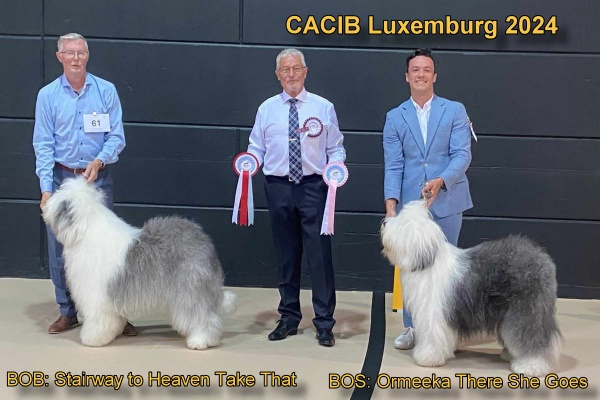 CACIB Luxenburg 2024