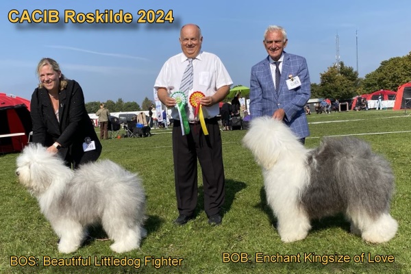 CACIB Roskilde 2024