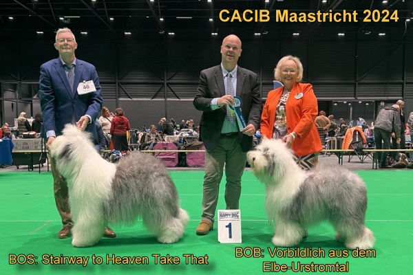 CACIB Maastricht 2024