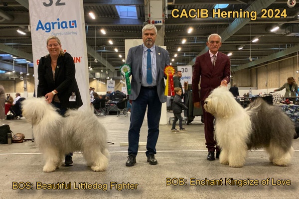 CACIB Herning 2024