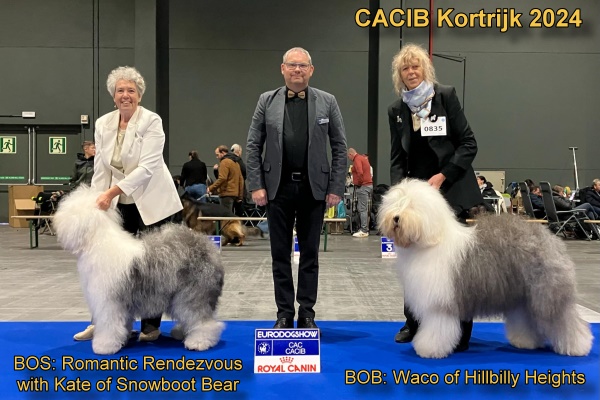 CACIB Kortrijk 2024