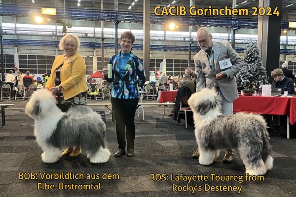 CACIB Gorinchem 2024