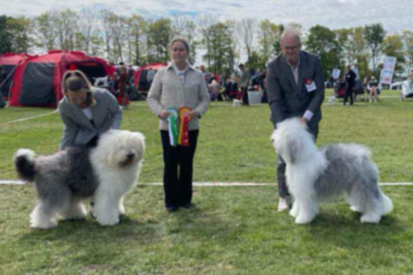 Sieger CACIB Roskilde