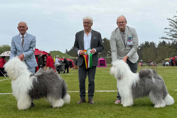 Sieger Skagen