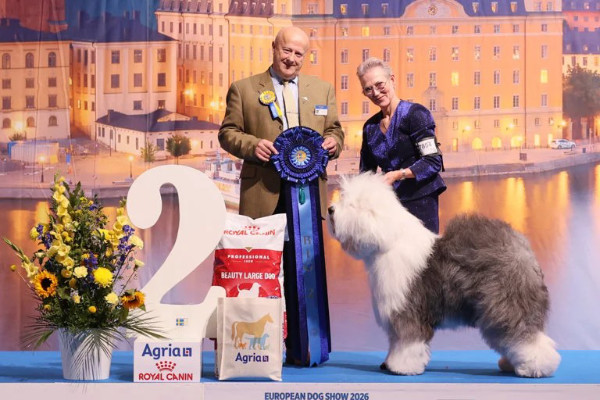 Sieger Stockholm