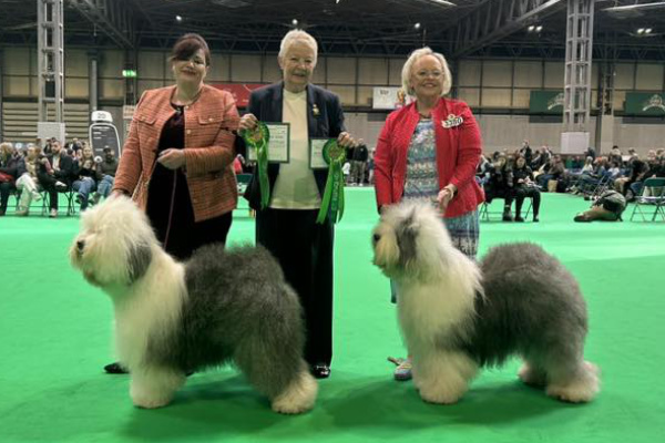 Crufts 2026