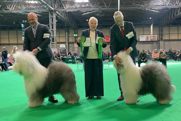 Crufts 2026