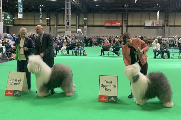 Sieger Crufts_2026